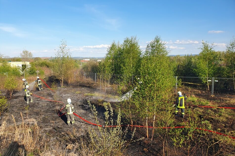 Die Feuerwehr Zwickau war mit acht Fahrzeugen und 30 Einsatzkräften im Einsatz.