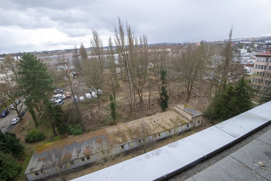 Der Blick auf die Grünfläche hinter dem Spinnbau. Hier könnte laut den Chemnitzer Grünen ein neues Schauspielhaus entstehen – inklusive Parkanlage und Außenbühne.