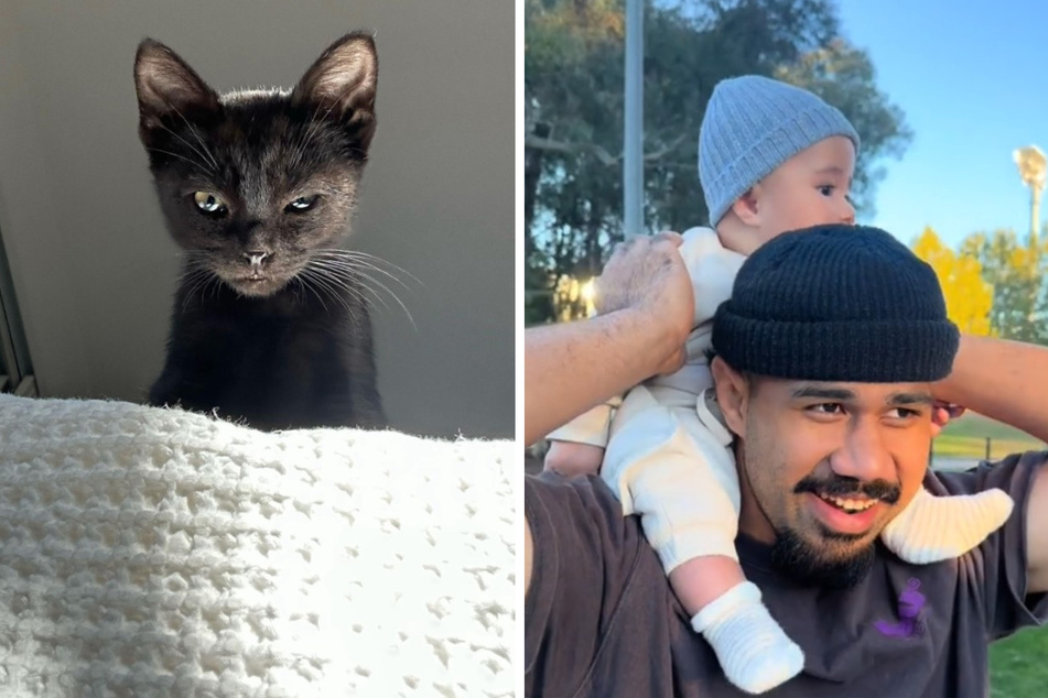 Kater Otis ist nicht begeistert von dem neuen Vater-Sohn-Gespann in seiner Familie. Papa Komiti Tuilagi (25) und Sohn Tamini (5 Monate) sehen das anders.