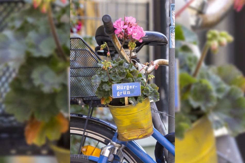 "Bürgergrün": Liebevoll haben Anwohner verwaiste Fahrräder mit Blumen bepflanzt.