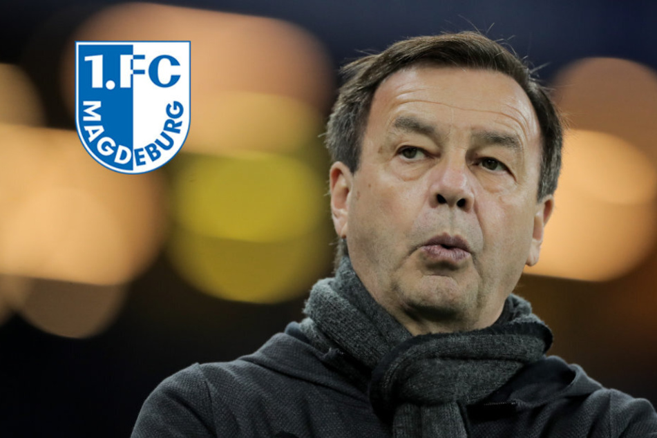 Magdeburgs Sportchef optimistisch: "Sind in der Liga angekommen"