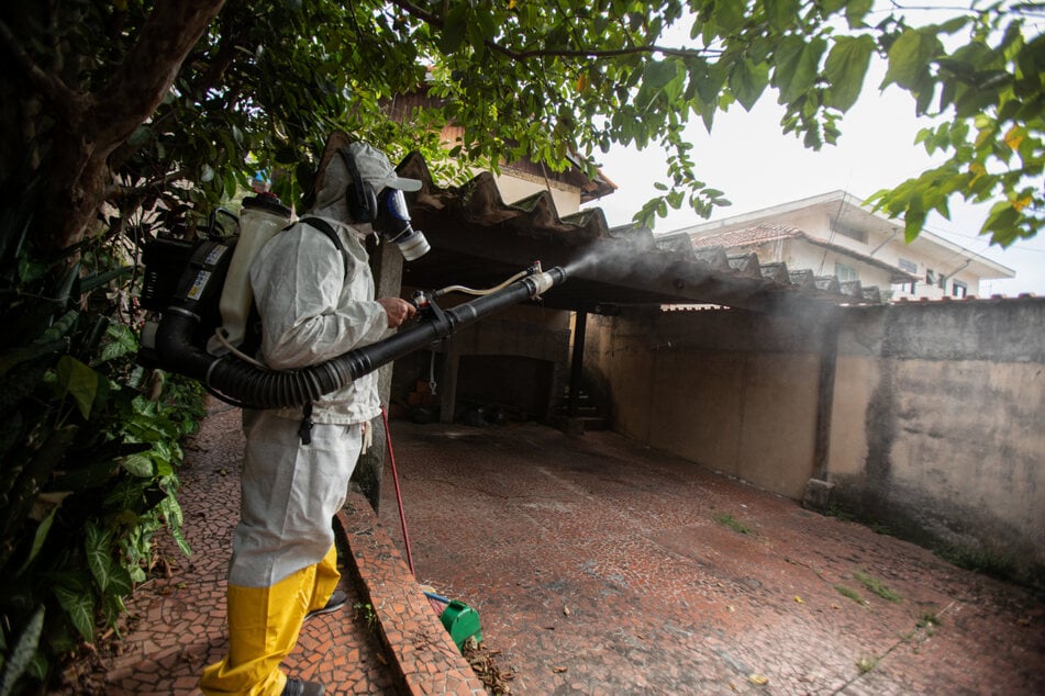 Ein Arbeiter räuchert ein Viertel im Norden der Metropole São Paulo aus - im Kampf gegen die Ägyptische Tigermücke (Aedes aegypti).