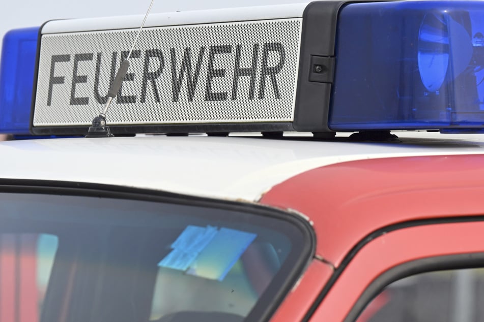 Beide Waldbrände wurden vermutlich durch fahrlässiges Handeln ausgelöst. Die Feuerwehr löschte die Brände. (Symbolfoto)