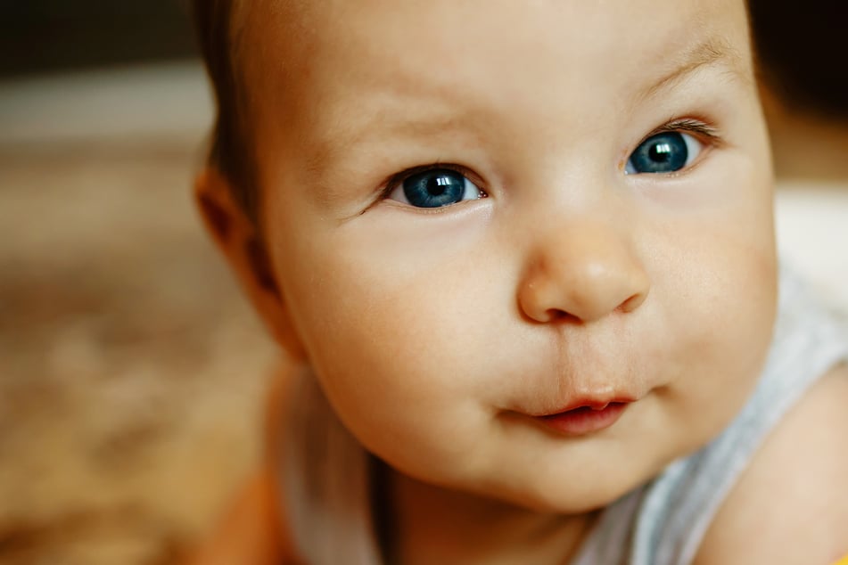 Der Vorname "Emil" konnte punkten.