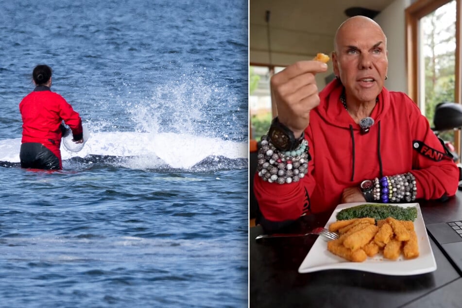 René Redo (57, r.) stellt noch mal klar: Buckelwal "Timmy" wird nicht zu Fischstäbchen verarbeitet.