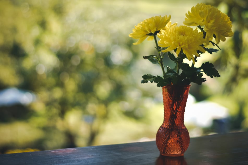 Als die Rentnerin nachts eine Blumenvase aus ihrem Garten ins Haus holen wollte, soll sie von dem Tatverdächtigen überrascht worden sein. (Symbolbild)