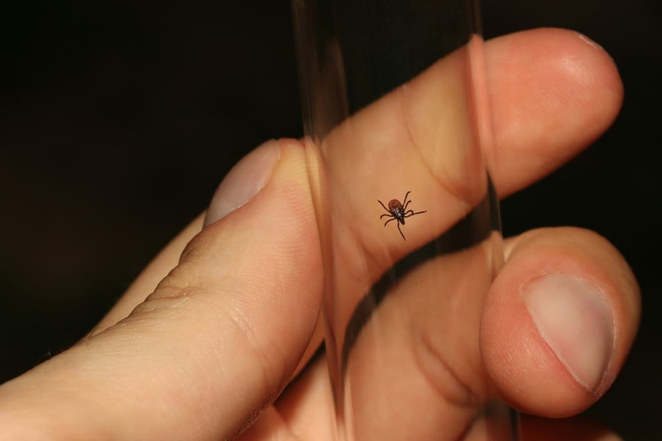 More recently, the coalition worked with doctors in Thailand to reveal that a tick-borne virus was behind a mysterious cluster of patient cases.