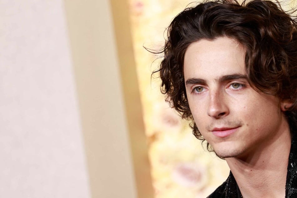 Timothée Chalamet crashes his own look-alike contest in NYC and the pics are insane