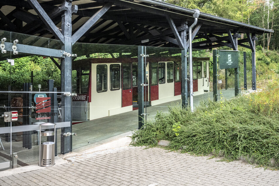 Die "Bienchen-Wanderung" startet 10 Uhr an der Talstation der Drahtseilbahn.