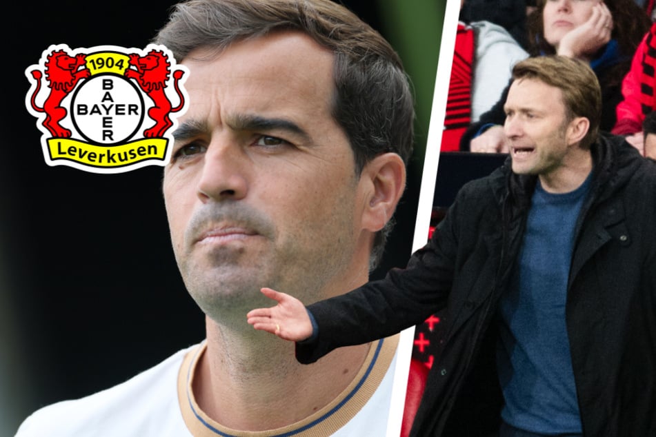 Nach magerem Remis gegen Augsburg: Zählt Bayer-Boss Rolfes hier Trainer Martinez an?