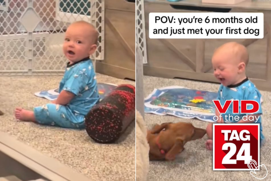 Today's Viral Video of the Day features the heartwarming moment a little boy met his first ever puppy!