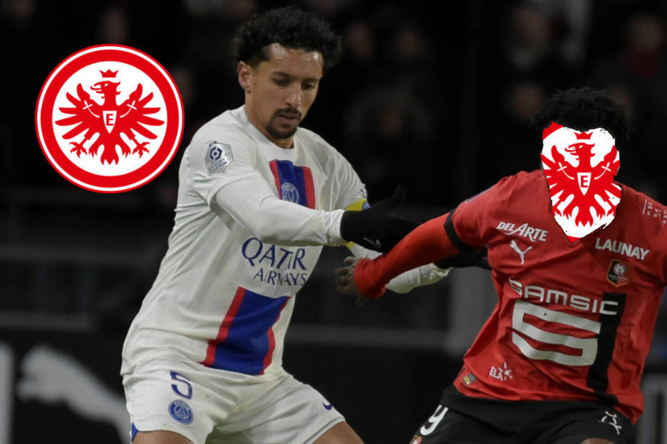 Eintracht soll 20 Millionen Euro bieten: Ist er der neue Mittelstürmer in Frankfurt?