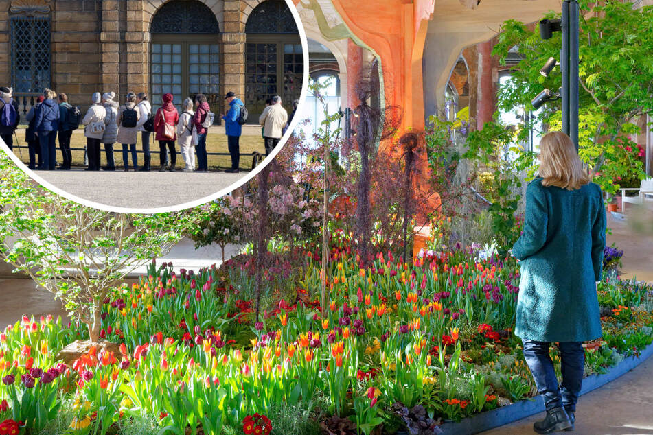 Dresden: "Dresdner Frühling" stellt Besucherrekord auf, doch es gibt auch Kritik