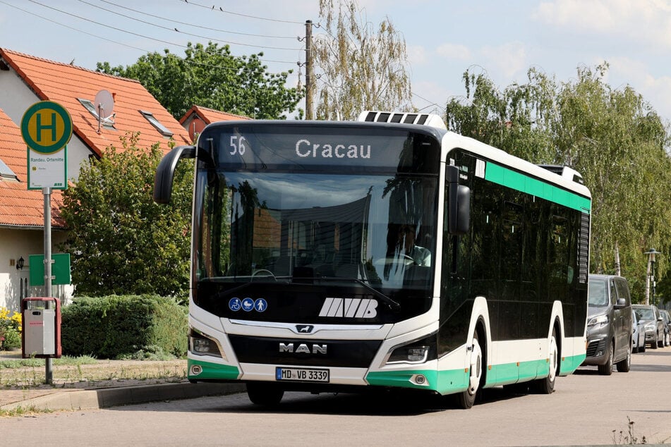 Aufgrund von Bauarbeiten kommt es für zwei Buslinien der MVB zu Planänderungen. (Symbolbild)