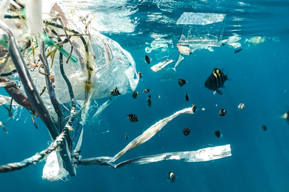 Fish swim near plastic pollution in the waters of Indonesia.