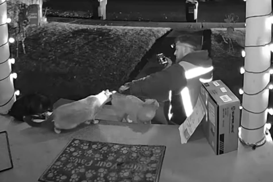 Kade Parson nie odmawia sobie głaskania kotów.