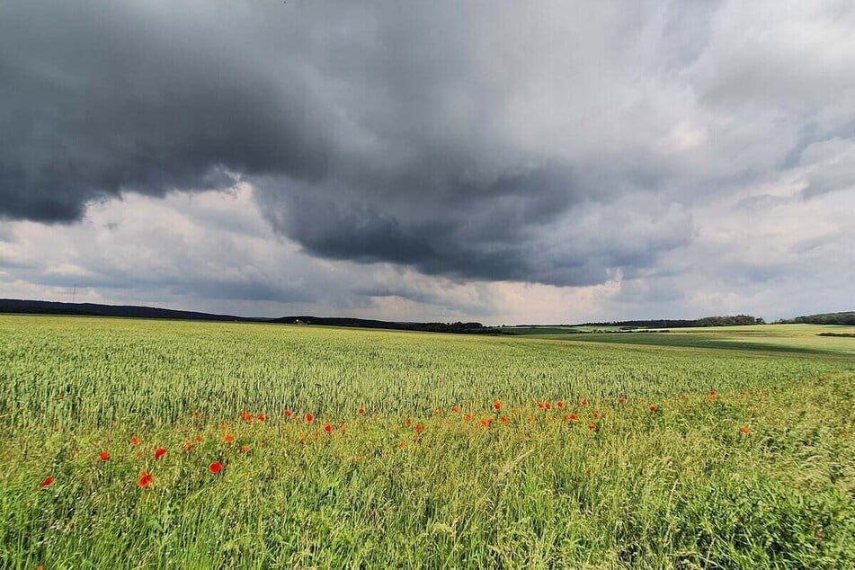 In der Thüringen-Vorhersage wurde auf lokales Unwetterpotentzal durch heftigen Starkregen, Sturmböen und Hagel hingewiesen. (Symbolbild)