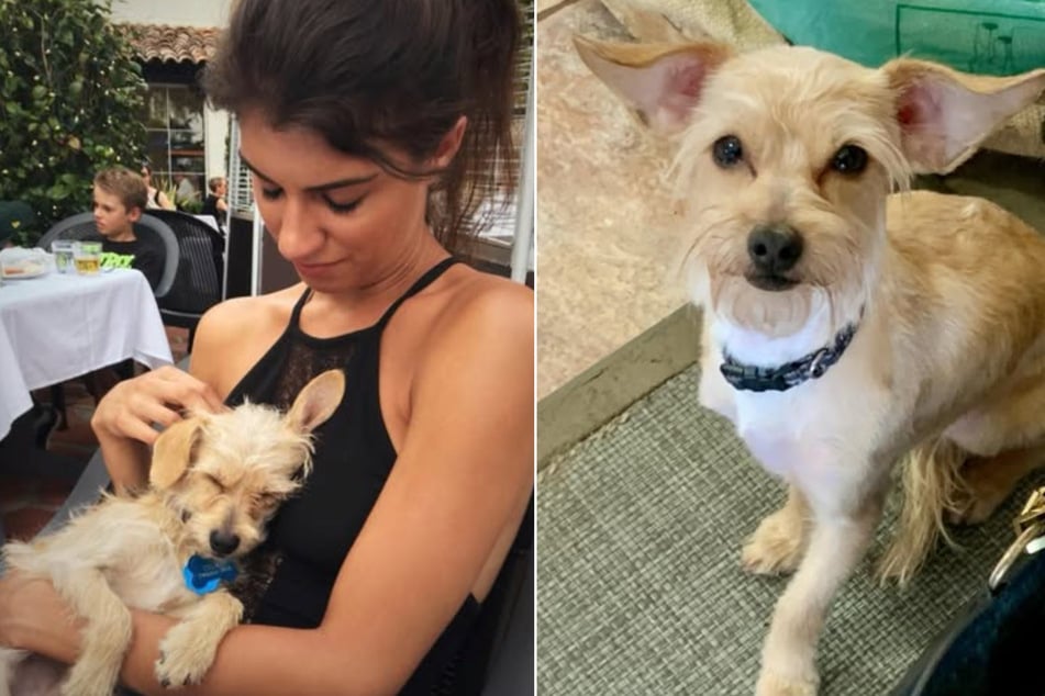 Stella Marie holte Cosmo vor neun Jahren aus dem Tierheim. Vorher lebte der Hund auf der Straße.