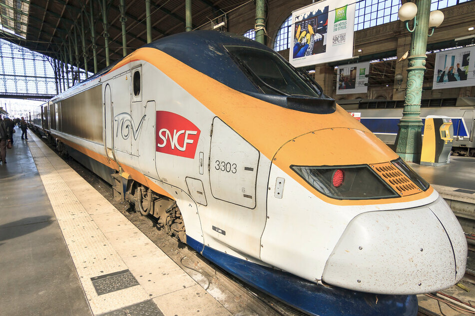 Der Strom im Bahnhof Gare de Lyon wurde unterbrochen, um eine Mieze unter dem Drehgestell eines TGV-Zuges hervorzuholen.