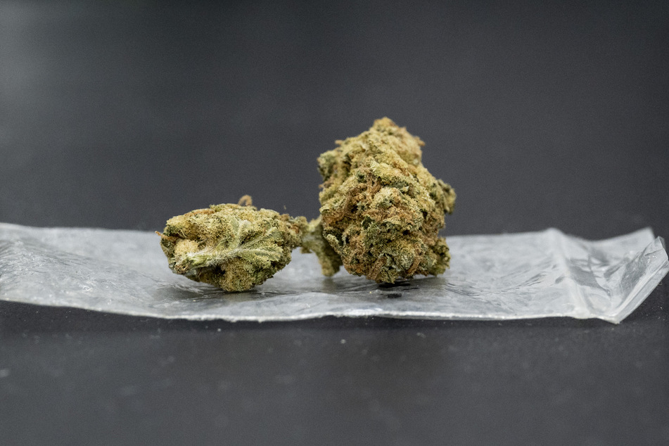 Eine Cannabisblüte liegt auf einem Plastikbeutel. In sogenannten Cannabis-Klubs soll das schon bald ein gewohntes Bild werden.