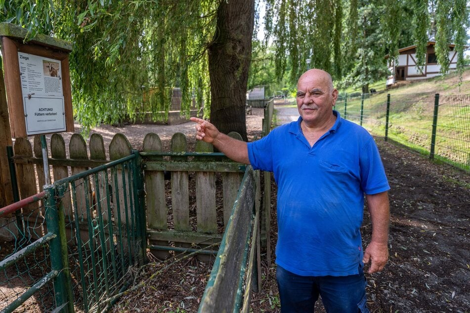 Vereins-Chef Günter Weise (71) zeigt auf ein Hinweisschild, das Besuchern das Füttern der Tiere untersagt.