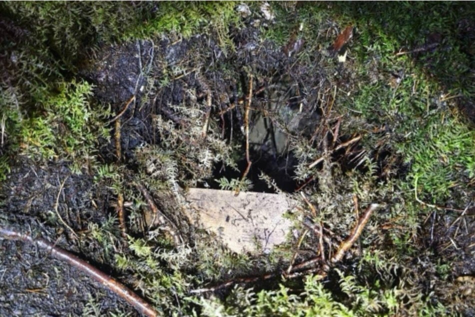 Beamte des lettischen Grenzschutzes fanden den Tunnel versteckt unter Moos.