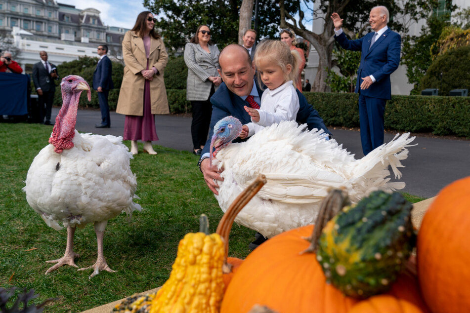 Beau Biden jr., Enkel von US-Präsident Biden, streichelt die Thanksgiving-Truthähne.