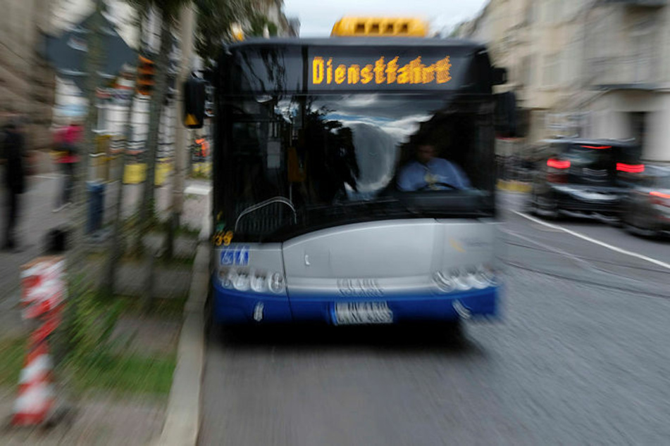 Leipziger See-Fans aufgepasst: In den Sommerferien geht's ...