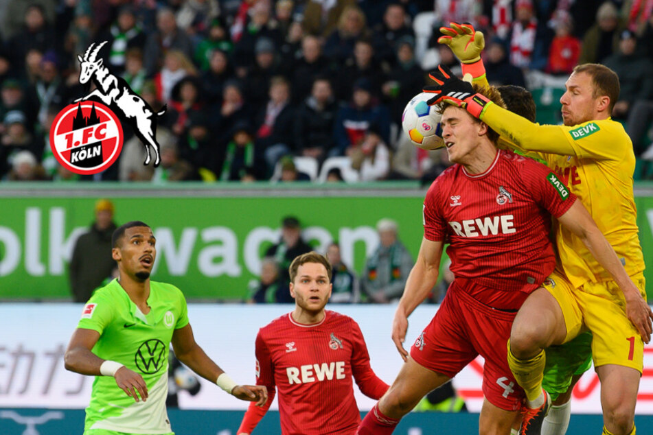 "Ein guter Punkt": FC Köln freut sich über Fortschritt im Abstiegskampf