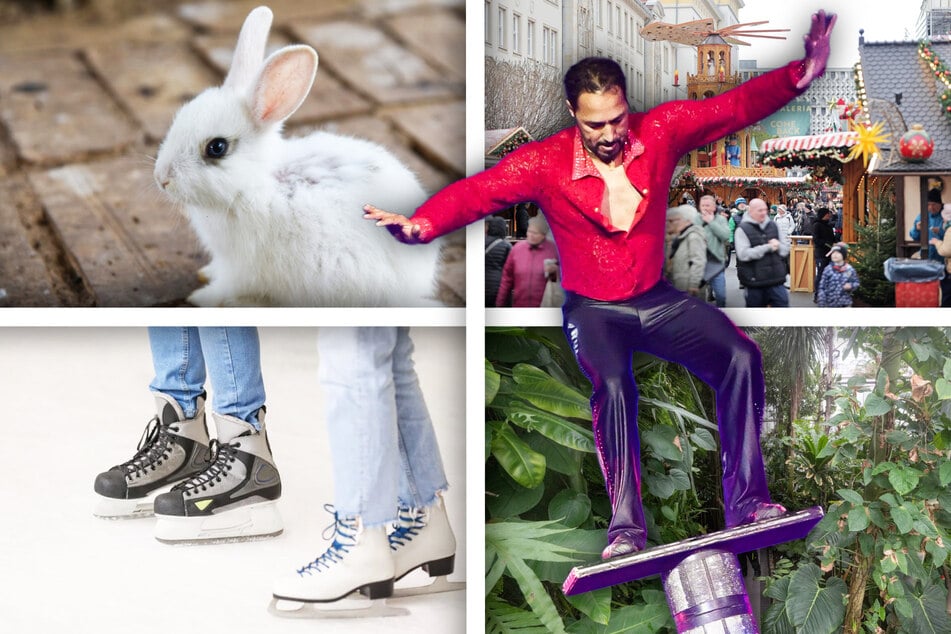 Diese tollen Events könnt Ihr am ersten Adventswochenende in Magdeburg erleben