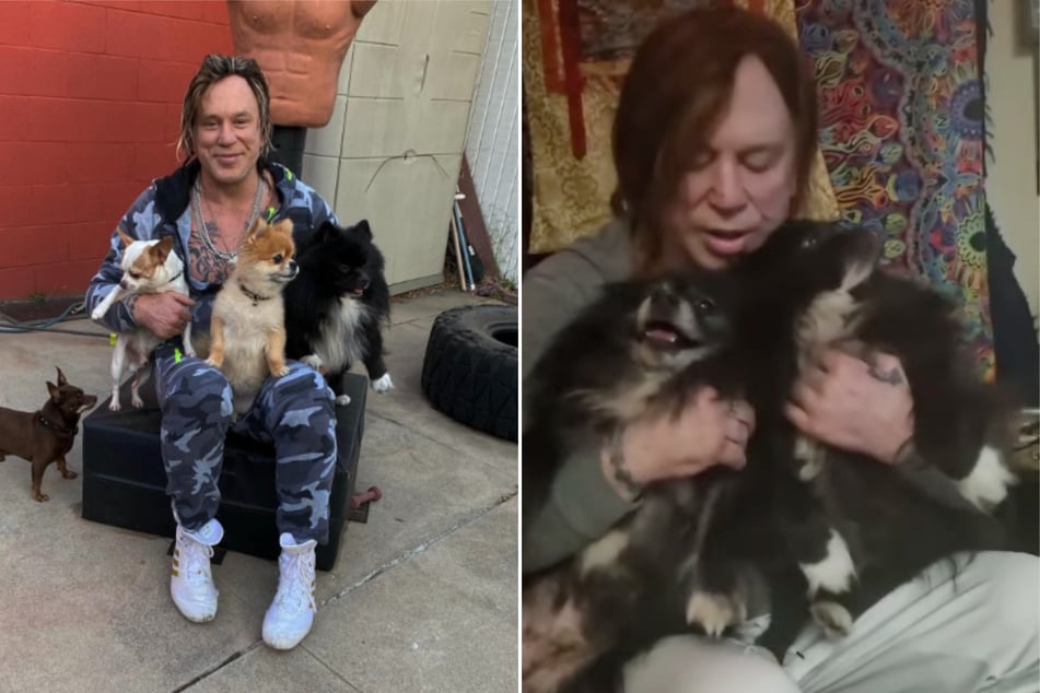 Für Mickey Rourke (73) sind seine Vierbeiner alles - einer dieser Fellnasen benötigt nun dringend Hilfe.