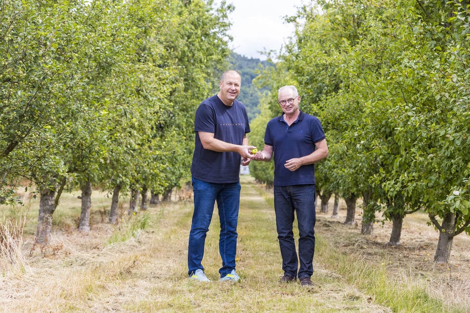 Stehen in einer Ur-Apfel-Plantage des Malus sieversii in Pillnitz: Prof. Dr. Henryk Flachowsky (54, l.) und Prof. Matthias Kramer (66), der bis zu seinem Ruhestand als Wirtschaftswissenschaftler in Zittau gelehrt hat.