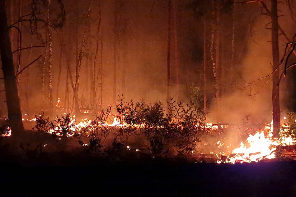 Im Jahr 2023 brannte eine große Fläche in einem Wald nahe Jüterbog.