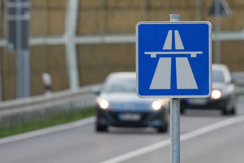 Unfall A14: Mit abgerissener Leine: Hund läuft alleine an der A14 entlang