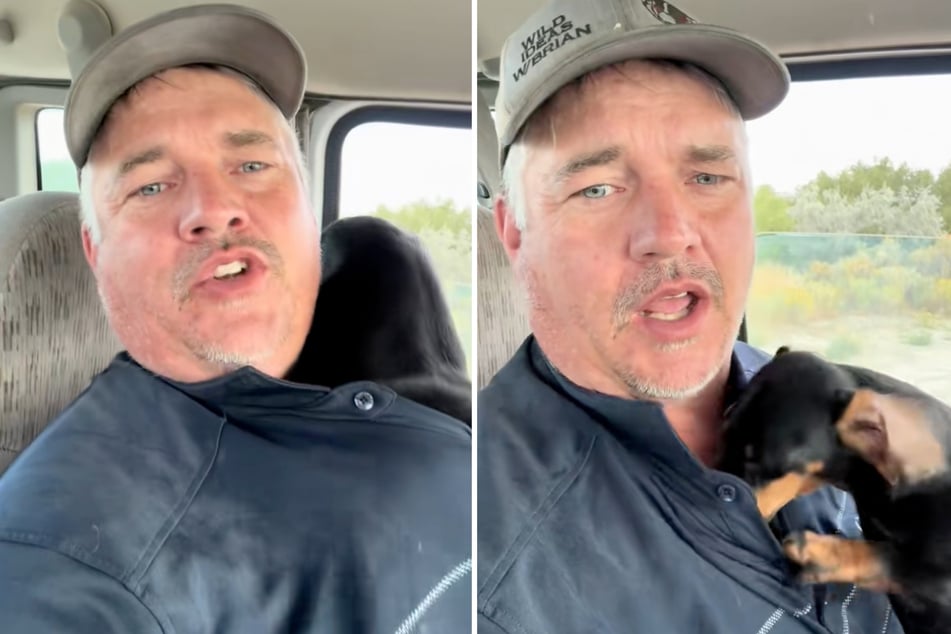 Brian Rowlan y la perrita Bonnie ofrecen el mejor entretenimiento en este video de TikTok.