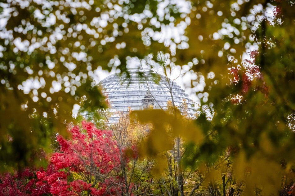 Klassisch-schönes Herbstwetter erwartet die Menschen in Berlin und Brandenburg am Wochenende.