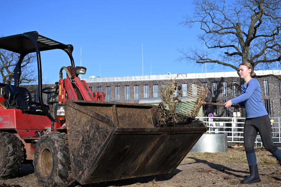 Radlader-Falle: Reiterhof verliert 17.000 Euro an Trickbetrüger!