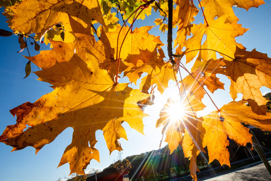 Goldener Herbst-Tag am Mittwoch, steife Sturmböen in NRW möglich