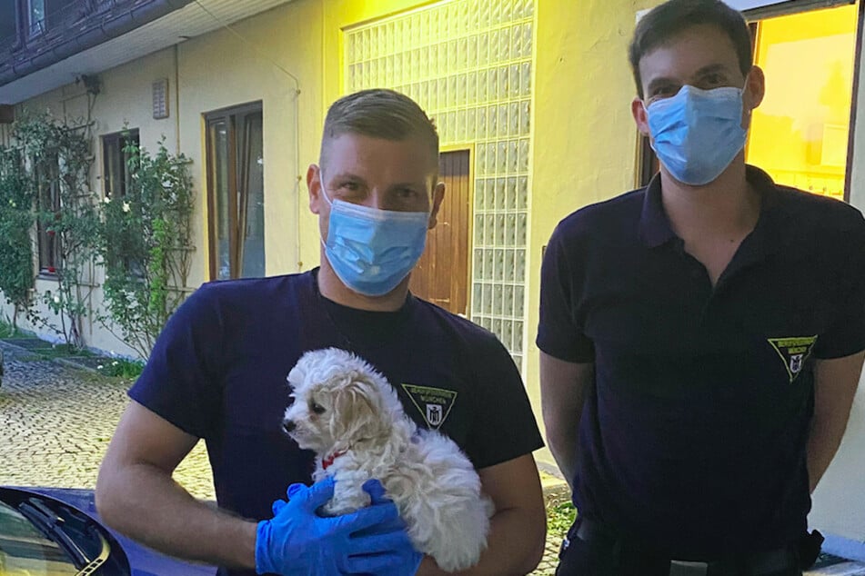 Malteserhündin "Gina" mit ihren Rettern von der Münchner Feuerwehr.