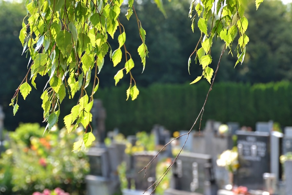 Auf einem Friedhof wurde eine "gut erhaltende" Leiche gefunden.