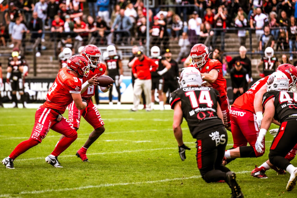 Die Potsdam Royals machen mit dem 41:28 Sieg über die New Yorker Lions Braunschweig den Finaleinzug perfekt