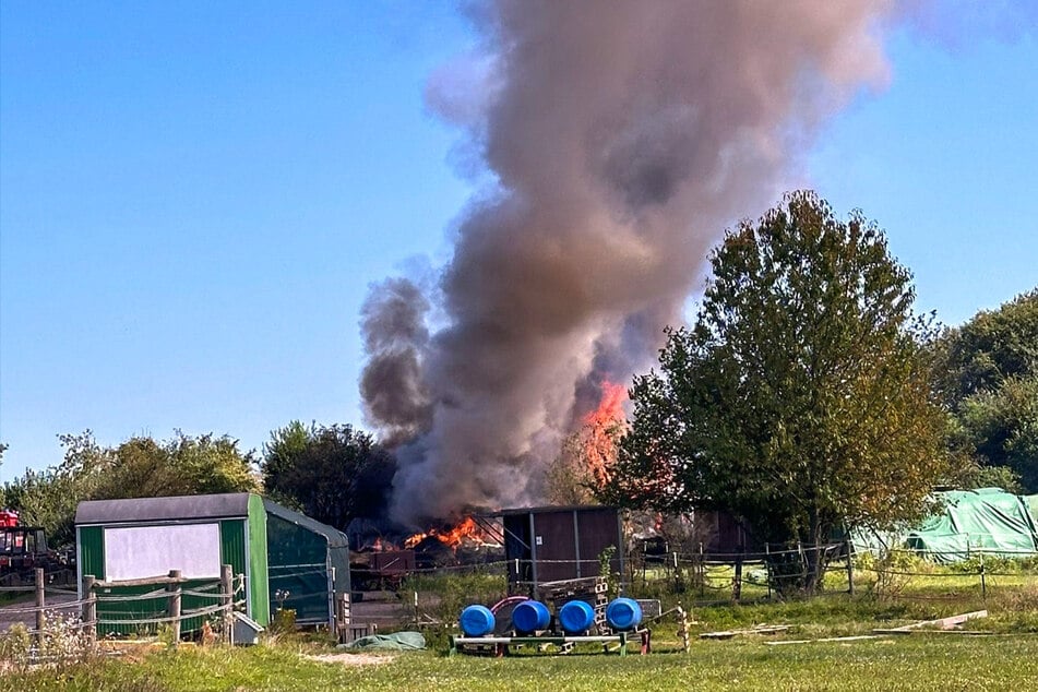 Heftige Flammen schossen in den Mittagshimmel des rheinland-pfälzischen Hagenbach.