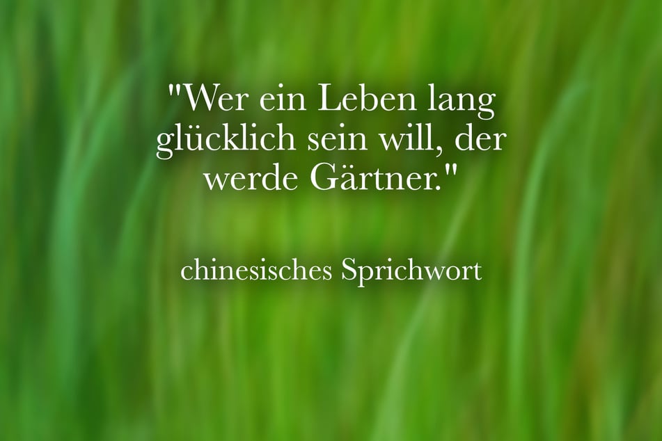 Ein chinesisches Sprichwort lautet: "Wer ein Leben lang glücklich sein will, der werde Gärtner."