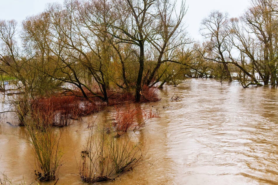 Hochwasser in Hessen: Dauerregen lässt Pegelstände steigen