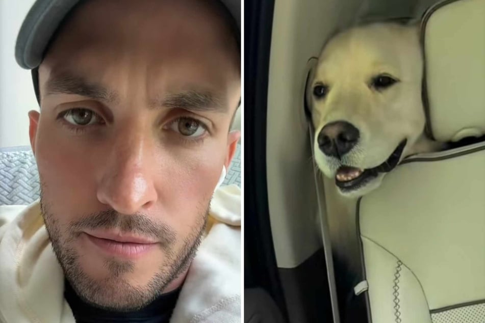 Dog tragically dies just seconds after appearing in cheerful clip – here's what happened