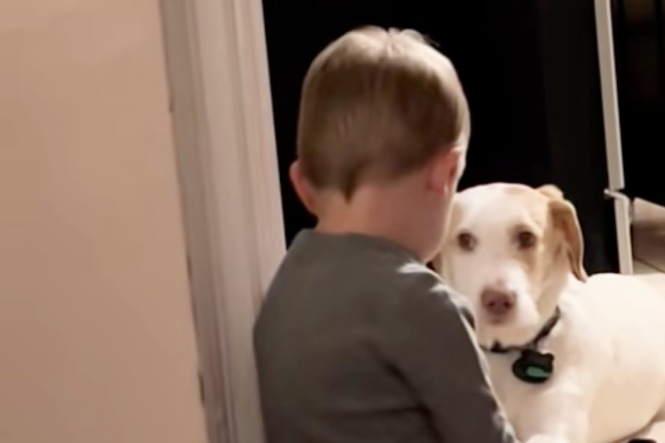 Hund läuft von zu Hause weg: Was ihm Junge sagt, als er zurück ist, lässt Herzen schmelzen