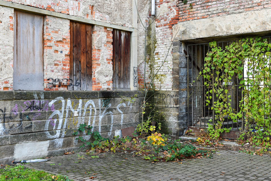 Vandalismus und die Natur setzen dem Gebäude immer weiter zu.