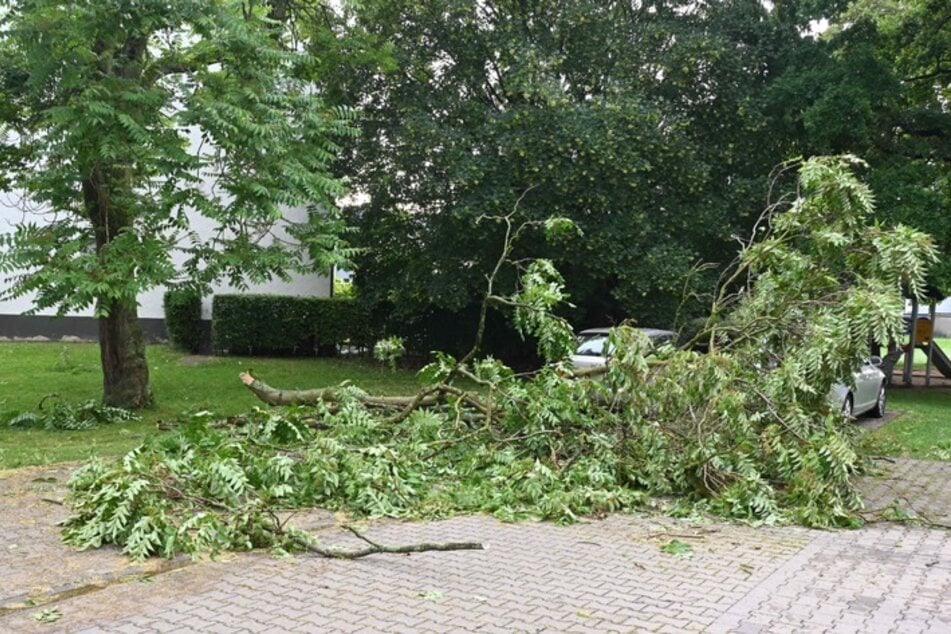 Das Unwetter über Nordrhein-Westfalen hat den Einsatzkräften der Feuerwehr am Freitagabend reichlich Arbeit beschert.