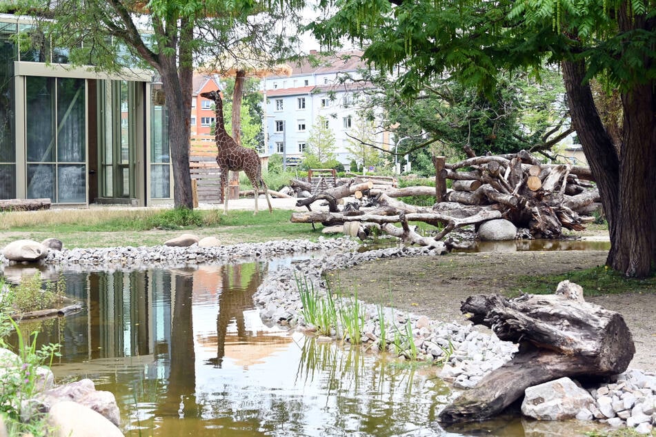 Karlsruher Zoo freut sich über Millionenerbe