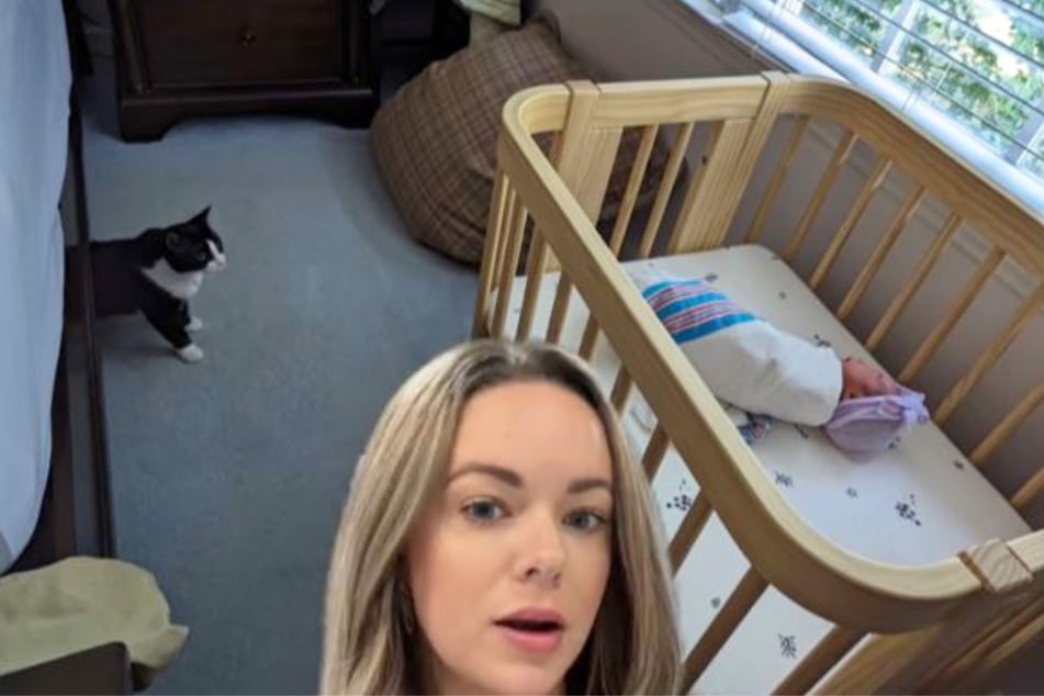 Per Greenscreen-Technik montierte Suzanne Lambert (32) ihren Kopf in das Foto, um es ausgiebig zu kritisieren. Darauf ist schemenhaft rechts das Baby zu sehen. Die Katze links im Bild ist da schon besser getroffen.